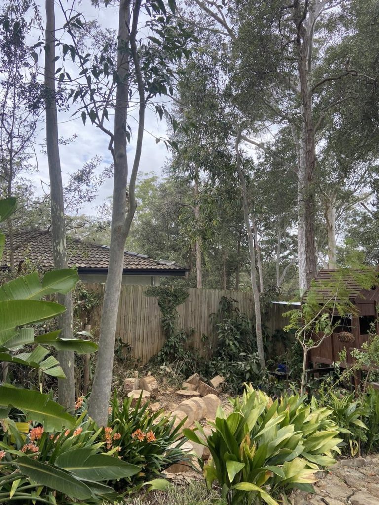 tree lopping parramatta height reduction overgrown tree,
Tree Removal Western Sydney