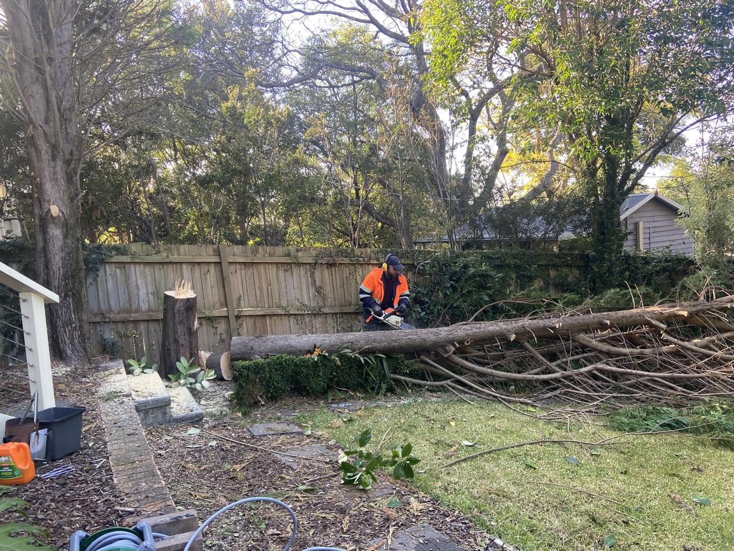 stump grinding Western Sydney, tree lopping service