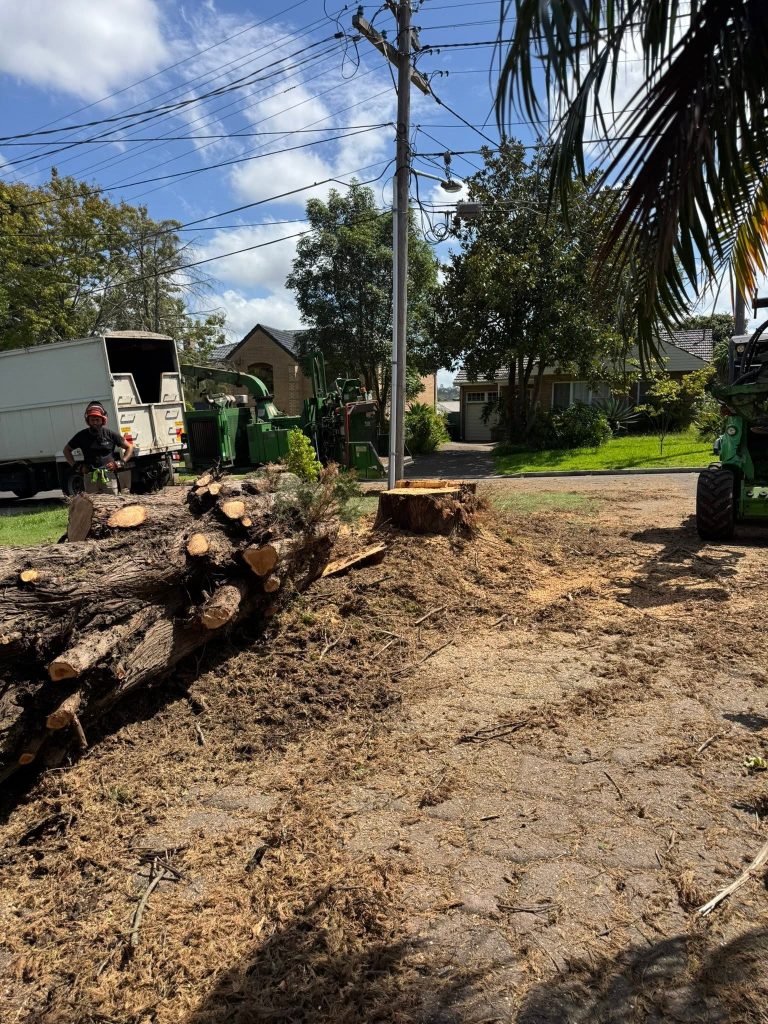 stump grinding Western Sydney, tree lopping service